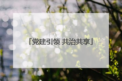 党建引领 共治共享