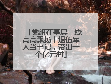 党旗在基层一线高高飘扬丨退伍军人当书记，带出一个亿元村