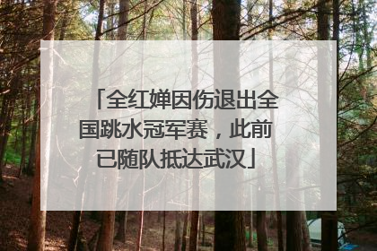 全红婵因伤退出全国跳水冠军赛，此前已随队抵达武汉