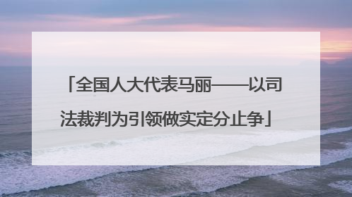 全国人大代表马丽——以司法裁判为引领做实定分止争