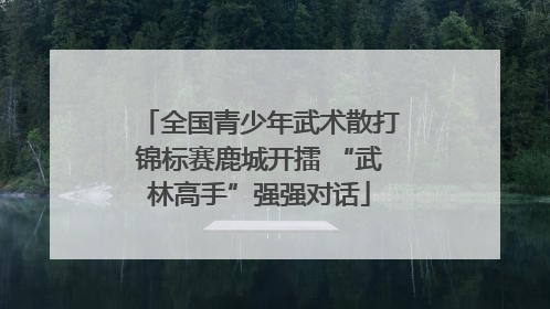 全国青少年武术散打锦标赛鹿城开擂 “武林高手”强强对话
