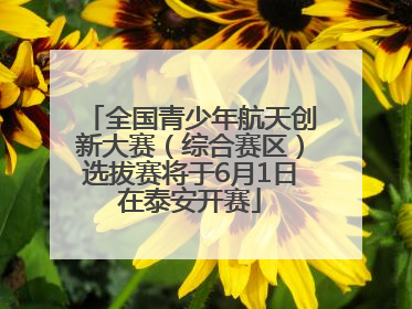 全国青少年航天创新大赛（综合赛区）选拔赛将于6月1日在泰安开赛