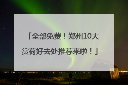 全部免费！郑州10大赏荷好去处推荐来啦！
