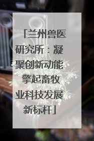 兰州兽医研究所：凝聚创新动能 擎起畜牧业科技发展新标杆