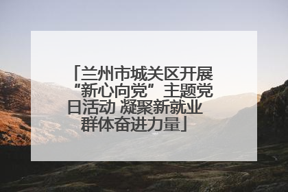 兰州市城关区开展“新心向党”主题党日活动 凝聚新就业群体奋进力量