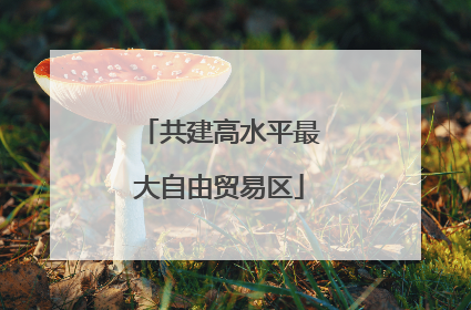 共建高水平最大自由贸易区