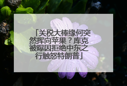 关税大棒缘何突然挥向苹果？库克被曝因拒绝中东之行触怒特朗普