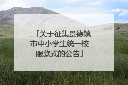 关于征集景德镇市中小学生统一校服款式的公告
