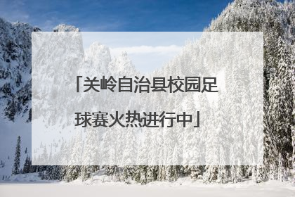 关岭自治县校园足球赛火热进行中