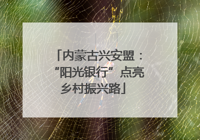内蒙古兴安盟：“阳光银行”点亮乡村振兴路