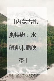 内蒙古扎赉特旗：水稻迎来插秧季