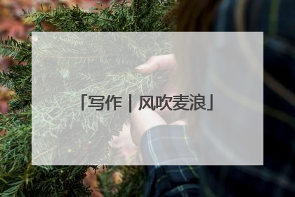 写作｜风吹麦浪