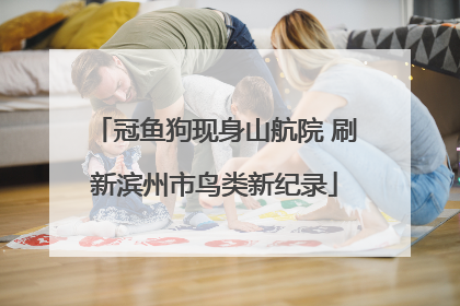 冠鱼狗现身山航院 刷新滨州市鸟类新纪录