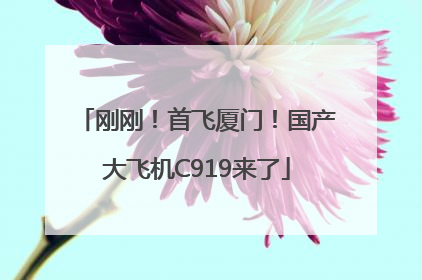 刚刚！首飞厦门！国产大飞机C919来了