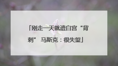 刚走一天就遭白宫“背刺” 马斯克：很失望
