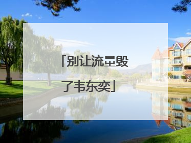 别让流量毁了韦东奕