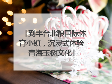 到丰台北粮国际体育小镇，沉浸式体验青海玉树文化