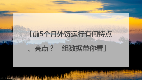 前5个月外贸运行有何特点、亮点？一组数据带你看