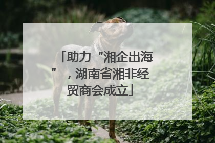 助力“湘企出海”，湖南省湘非经贸商会成立