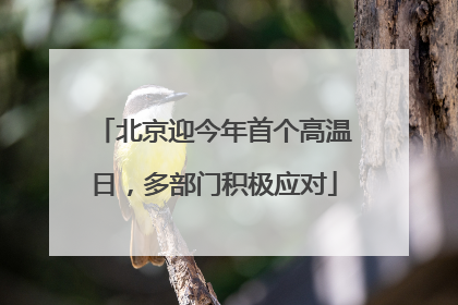 北京迎今年首个高温日，多部门积极应对