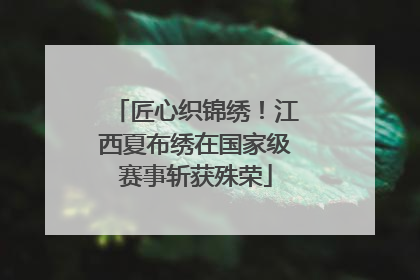 匠心织锦绣！江西夏布绣在国家级赛事斩获殊荣