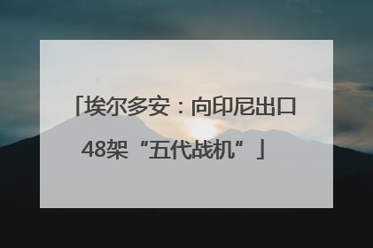 埃尔多安：向印尼出口48架“五代战机”