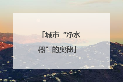 城市“净水器”的奥秘