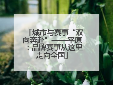 城市与赛事“双向奔赴”——平原：品牌赛事从这里走向全国