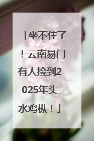 坐不住了！云南易门有人捡到2025年头水鸡枞！
