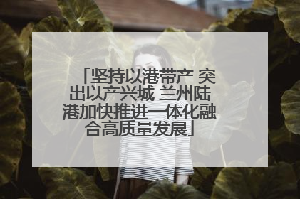 坚持以港带产 突出以产兴城 兰州陆港加快推进一体化融合高质量发展
