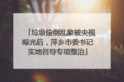垃圾偷倒乱象被央视曝光后，萍乡市委书记实地督导专项整治