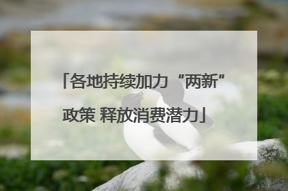 各地持续加力“两新”政策 释放消费潜力