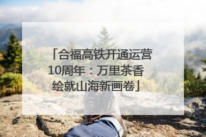 合福高铁开通运营10周年：万里茶香绘就山海新画卷