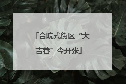 合院式街区“大吉巷”今开张