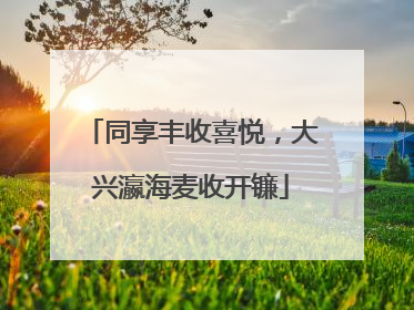 同享丰收喜悦，大兴瀛海麦收开镰