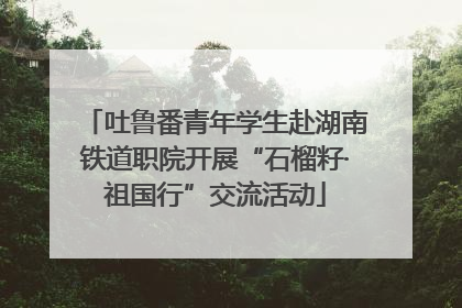 吐鲁番青年学生赴湖南铁道职院开展“石榴籽·祖国行”交流活动
