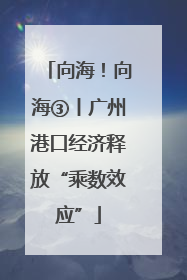向海！向海③丨广州港口经济释放“乘数效应”