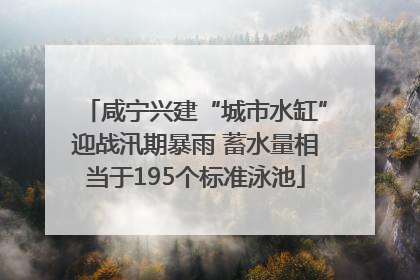 咸宁兴建“城市水缸”迎战汛期暴雨 蓄水量相当于195个标准泳池