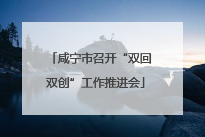 咸宁市召开“双回双创”工作推进会
