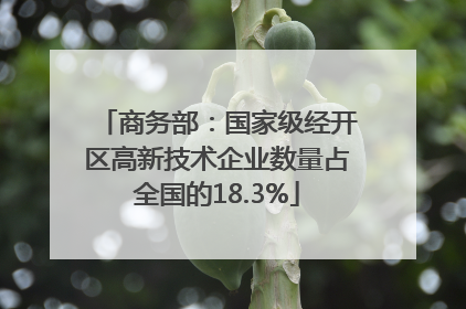 商务部：国家级经开区高新技术企业数量占全国的18.3%