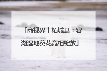 商视界丨柘城县：容湖湿地葵花竞相绽放
