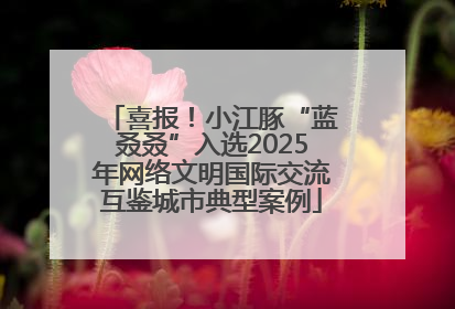喜报！小江豚“蓝叒叒”入选2025年网络文明国际交流互鉴城市典型案例