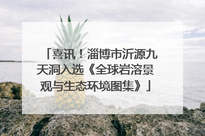 喜讯！淄博市沂源九天洞入选《全球岩溶景观与生态环境图集》