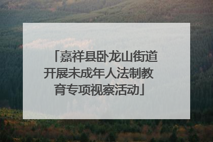 嘉祥县卧龙山街道开展未成年人法制教育专项视察活动