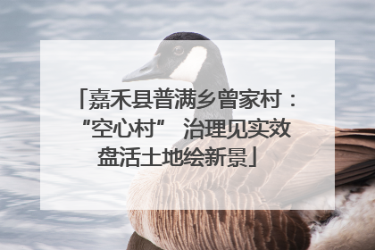 嘉禾县普满乡曾家村：“空心村” 治理见实效 盘活土地绘新景