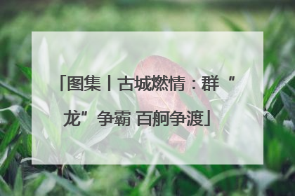 图集丨古城燃情：群“龙”争霸 百舸争渡