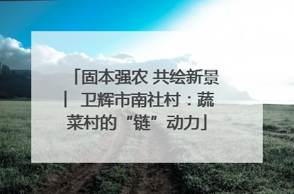 固本强农 共绘新景 ︳卫辉市南社村：蔬菜村的“链”动力