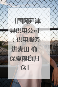 国网延津县供电公司：供电服务进麦田 确保夏粮稳归仓