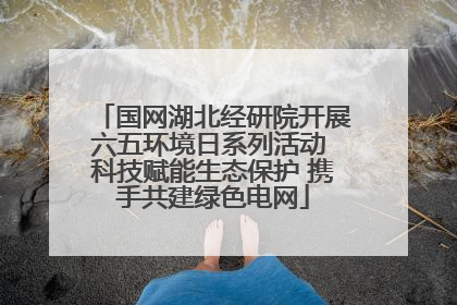 国网湖北经研院开展六五环境日系列活动 科技赋能生态保护 携手共建绿色电网