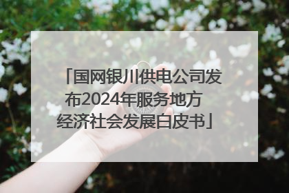 国网银川供电公司发布2024年服务地方经济社会发展白皮书